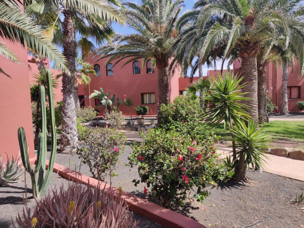 Appartement Oasis Tamarindo Poppins Pool E Terrace à Corralejo Extérieur photo