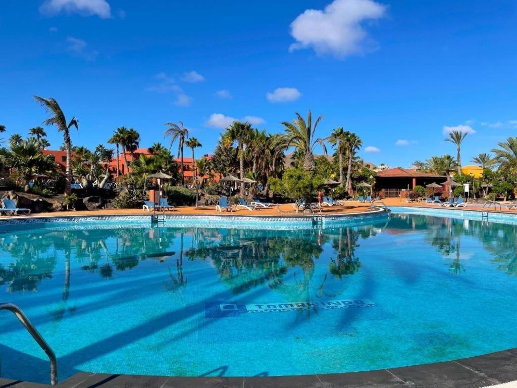 Appartement Oasis Tamarindo Poppins Pool E Terrace à Corralejo Extérieur photo